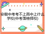 安徽中考考不上高中上什么学校(中考落榜择校)
