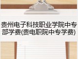 贵州电子科技职业学院中专部学费(贵电职院中专学费)