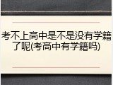考不上高中是不是没有学籍了呢(考高中有学籍吗)
