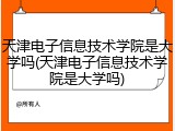 天津电子信息技术学院是大学吗(天津电子信息技术学院是大学吗)
