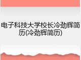 电子科技大学校长冷劲辉简历(冷劲辉简历)