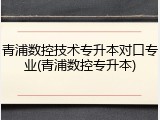 青浦数控技术专升本对口专业(青浦数控专升本)