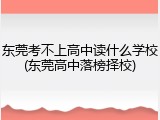 东莞考不上高中读什么学校(东莞高中落榜择校)