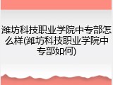 潍坊科技职业学院中专部怎么样(潍坊科技职业学院中专部如何)