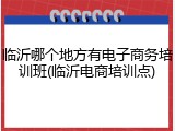 临沂哪个地方有电子商务培训班(临沂电商培训点)