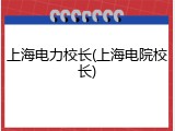 上海电力校长(上海电院校长)