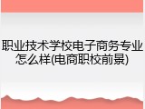 职业技术学校电子商务专业怎么样(电商职校前景)