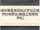宿州萧县单招培训学校正规学校有那些(萧县正规单招学校)