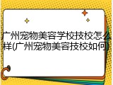 广州宠物美容学校技校怎么样(广州宠物美容技校如何)
