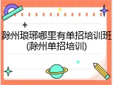 滁州琅琊哪里有单招培训班(滁州单招培训)