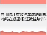 白山临江有数控车床培训机构吗在哪里(临江数控培训)
