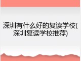 深圳有什么好的复读学校(深圳复读学校推荐)