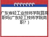 广东省轻工业技师学院算高职吗(广东轻工技师学院高职？)