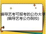 编导艺考可报考的公办大学(编导艺考公办院校)