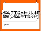 安徽电子工程学校校长中职是谁(安徽电子工程校长)