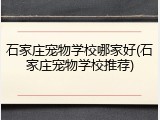 石家庄宠物学校哪家好(石家庄宠物学校推荐)