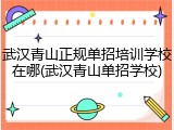 武汉青山正规单招培训学校在哪(武汉青山单招学校)