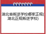 湖北省叛逆学校哪家正规(湖北正规叛逆学校)