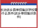 长治武乡县单招集训学校要什么条件(武乡单招集训条件)