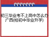 初三毕业考不上高中怎么办广西(桂初中毕业升学)