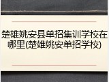 楚雄姚安县单招集训学校在哪里(楚雄姚安单招学校)