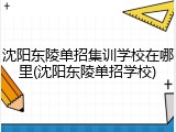 沈阳东陵单招集训学校在哪里(沈阳东陵单招学校)
