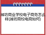 潍坊商业学校电子商务怎么样(潍坊商校电商如何)
