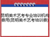 昆明美术艺考专业培训机构费用(昆明美术艺考培训费)