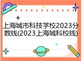 上海城市科技学校2023分数线(2023上海城科校线)