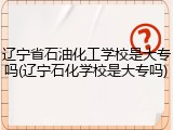 辽宁省石油化工学校是大专吗(辽宁石化学校是大专吗)
