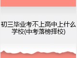 初三毕业考不上高中上什么学校(中考落榜择校)