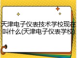 天津电子仪表技术学校现在叫什么(天津电子仪表学校)