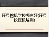 环县挖机学校哪家好(环县挖掘机培训)