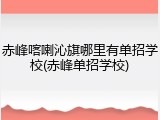 赤峰喀喇沁旗哪里有单招学校(赤峰单招学校)
