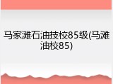 马家滩石油技校85级(马滩油校85)