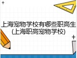 上海宠物学校有哪些职高生(上海职高宠物学校)