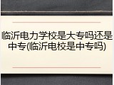 临沂电力学校是大专吗还是中专(临沂电校是中专吗)