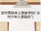 农村男孩来上贵族学校("乡村少年入贵族校")