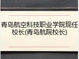 青岛航空科技职业学院现任校长(青岛航院校长)