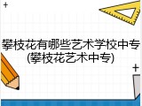 攀枝花有哪些艺术学校中专(攀枝花艺术中专)