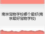 南京宠物学校哪个最好(南京最好宠物学校)