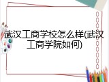 武汉工商学校怎么样(武汉工商学院如何)