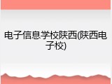 电子信息学校陕西(陕西电子校)