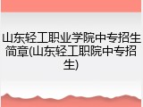 山东轻工职业学院中专招生简章(山东轻工职院中专招生)