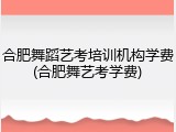 合肥舞蹈艺考培训机构学费(合肥舞艺考学费)