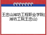 王忠山潍坊工程职业学院(潍坊工院王忠山)