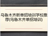 乌鲁木齐新单招培训学校推荐(乌鲁木齐单招培训)