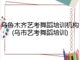 乌鲁木齐艺考舞蹈培训机构(乌市艺考舞蹈培训)