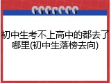 初中生考不上高中的都去了哪里(初中生落榜去向)