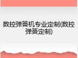 数控弹簧机专业定制(数控弹簧定制)